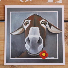 Présentation de la Carte Postale "Fleurâne", le portrait d'une ânesse