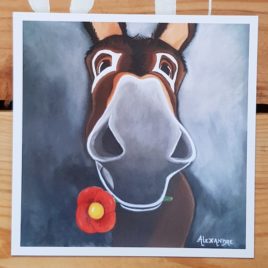 La carte postale de Balou représente le portrait d'un âne catalan avec une fleur à la bouche.