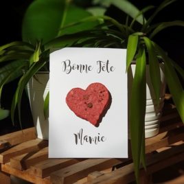 Carte avec un coeur rempli de graines que Mamie va pouvoir semer le jour de sa fête et le voir fleurir au printemps.